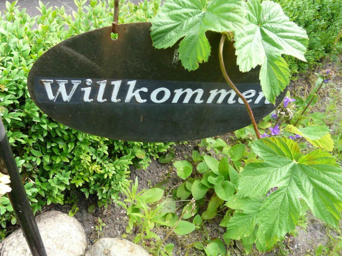 Pension Zur Kirchsee Insel Poel Exterior foto